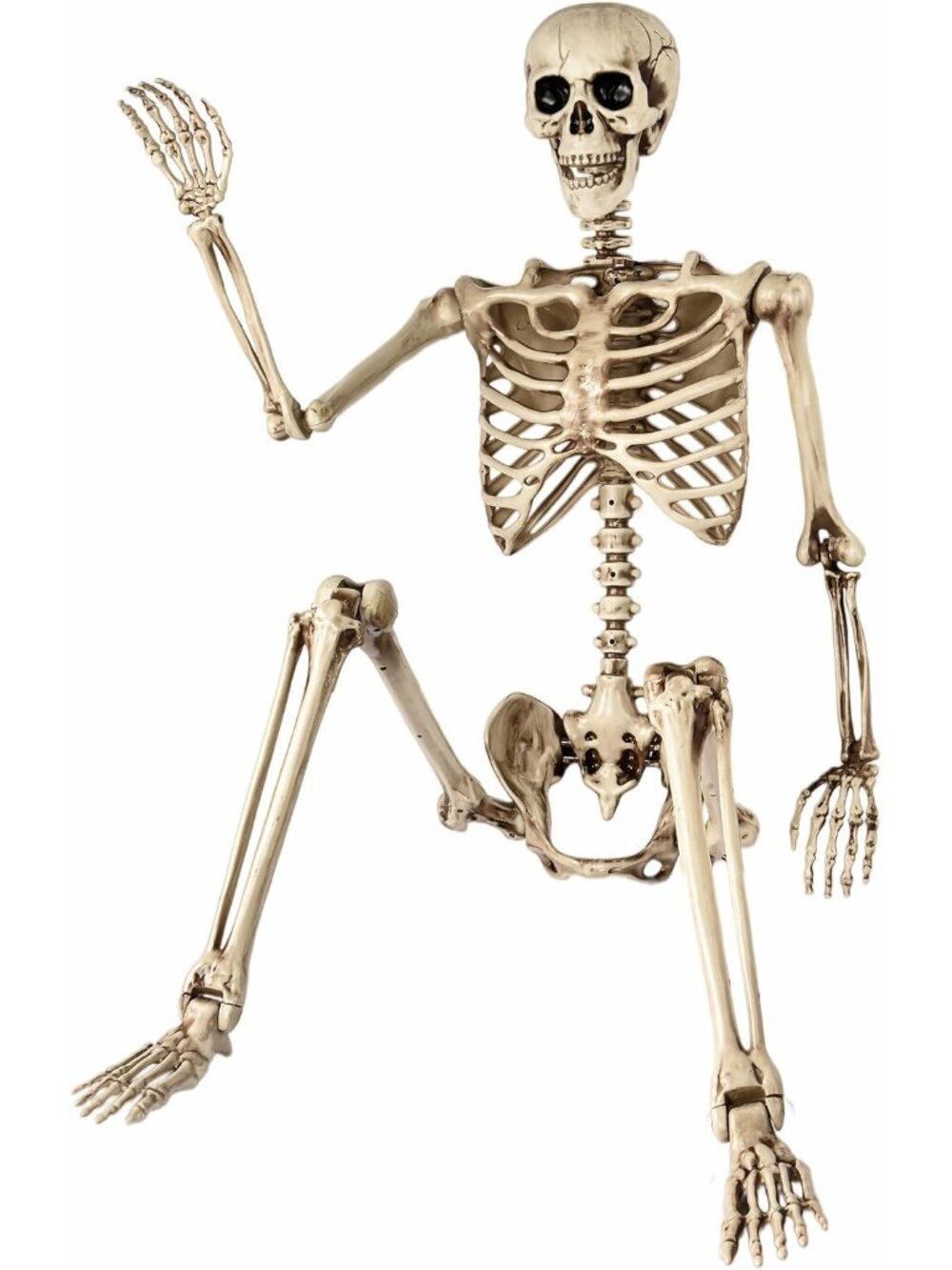 5.4 Ft Halloween Skeleton Life Size, Posable Skeletons Decor, Full Body Movable